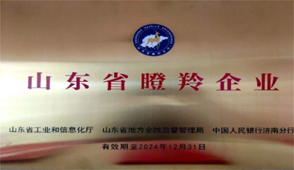 慶祝深藍(lán)機(jī)器榮獲山東省2021年度“瞪羚企業(yè)”榮譽(yù)稱號 慶祝深藍(lán)機(jī)器榮獲山東省2021年度“瞪羚企業(yè)”榮譽(yù)稱號